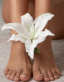 /album/piedi-sexy-compilation/piedi1-gif/
